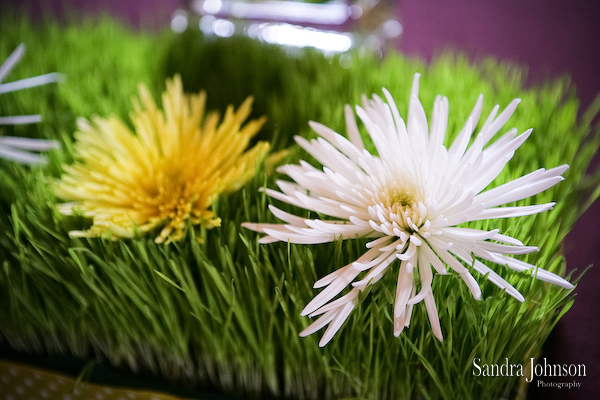 Best Villas of Grand Cypress Wedding photographer - Sandra Johnson (SJFoto.com)